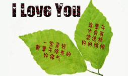 ĸ�H���Y���ף������